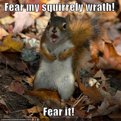 fearmysquirr128551150675180520