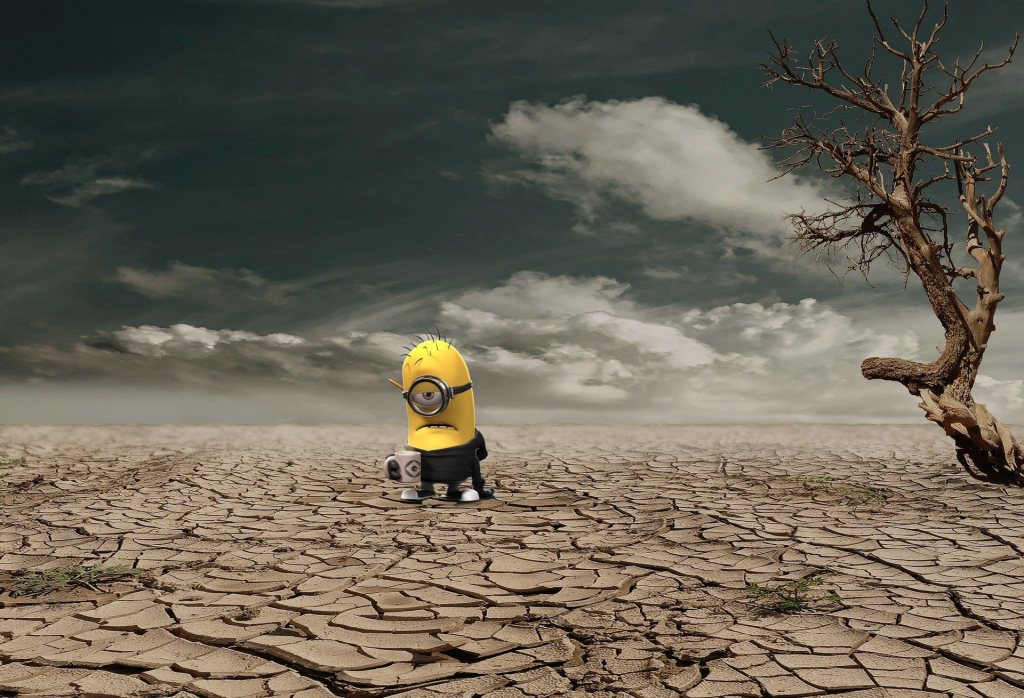 You’re Here, Now&nbsp;What?