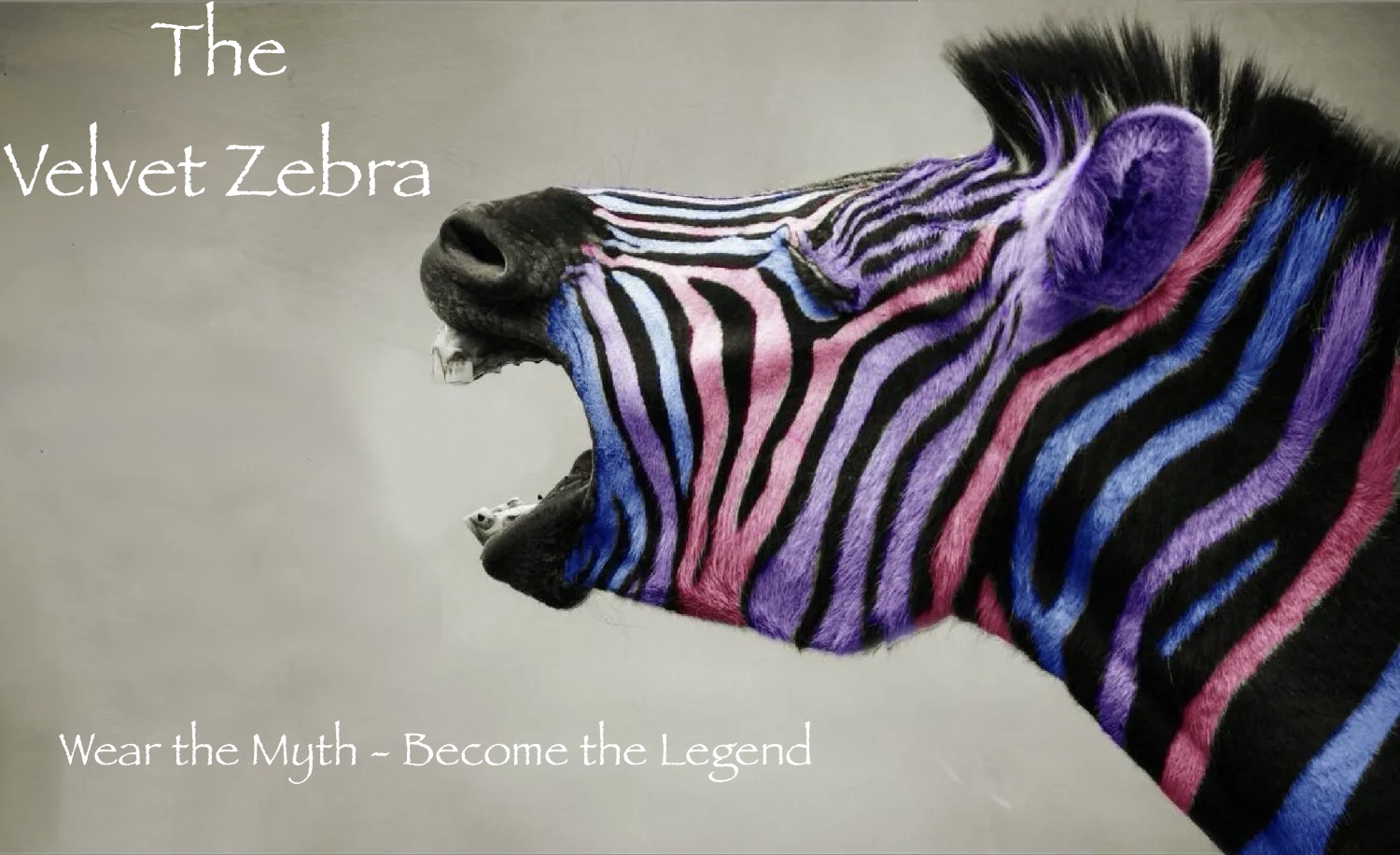 The Velvet Zebra